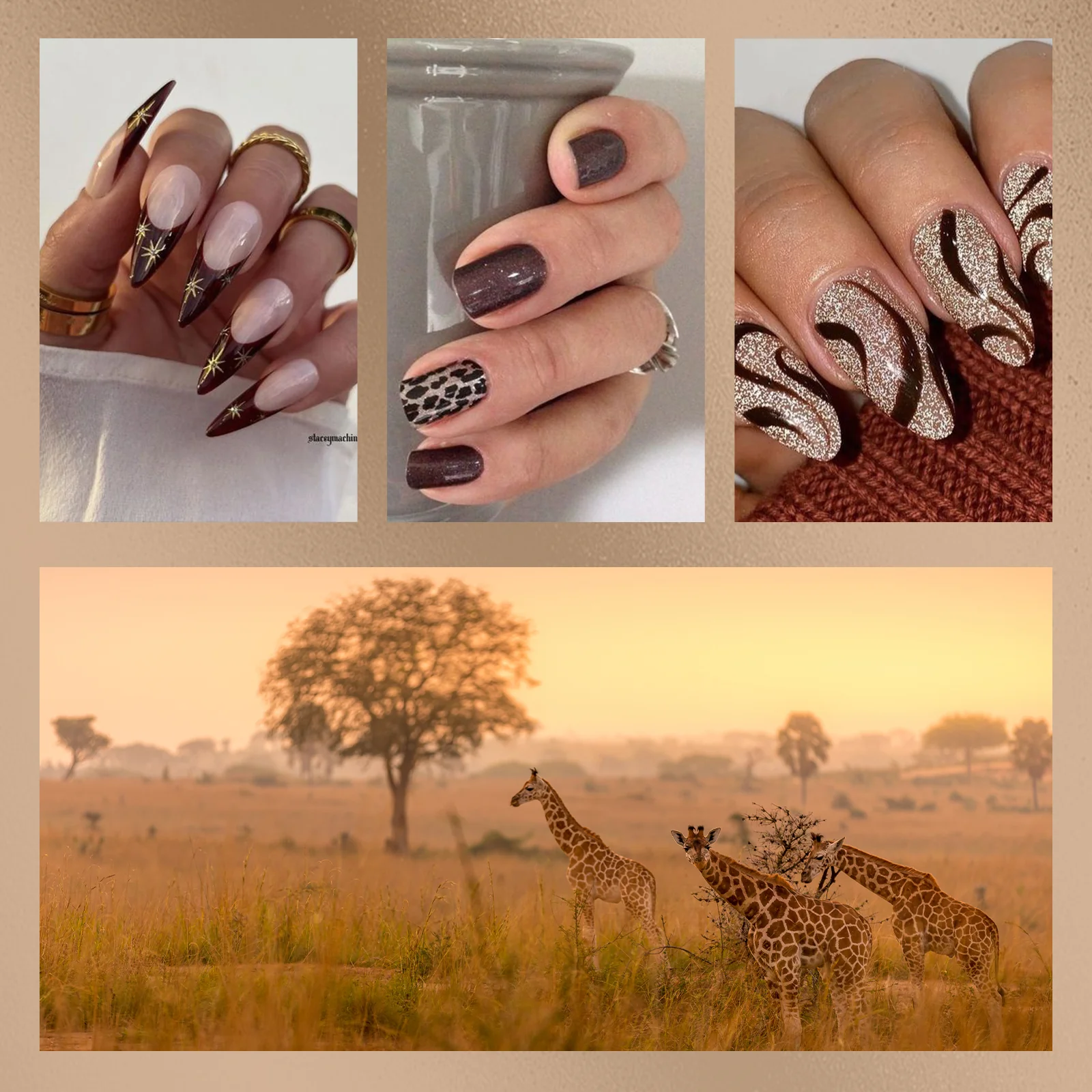 African Grassland 15ml TPO-Free Thick Gel Nail Polish - 4Pcs - Image 5